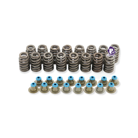 Texas Speed TSP Chopacabra cam kit for LS/Vortec engines; beehive springs and seals, gray springs with blue-topped seals