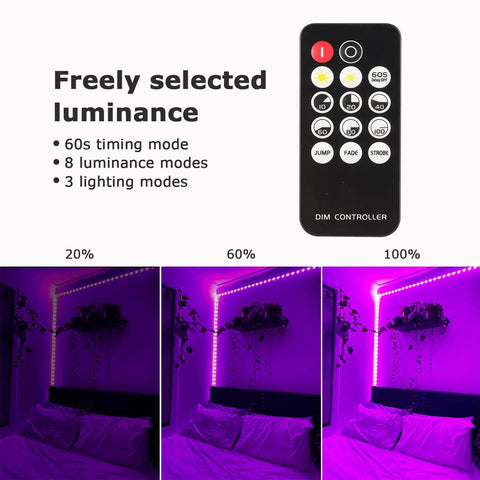 Remote control with LED options and lighting modes for Upgraded 16.4Ft 5M LED Black Light Strip Kit in a room setup