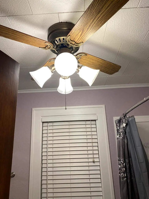 Ceiling fan with bell shaped frosted milky Scavo glass alabaster shades, part of replacement globes pack of four, standard fitter size.