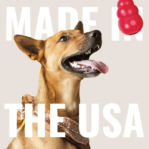 Extreme Goodie Bone Built Tough For Power Chewers Durable Natural Rubber Black For Large Dogs Great For Chew Sessions And Mental Stimulation That Lasts Longer Than Ordinary Toys red chew toy with large dog