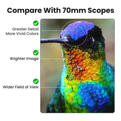 Flagship Spotting Scope 25-75x80 With Tripod For Target Shooting And Long Distance Viewing, BAK4 Prism, FMC Optics, Durable Build, Ideal For Birding, Wildlife Watching, And Range Day. Hummingbird detail comparison