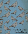 Cover with pigeons illustration, Racing Pigeon Handbook Real World Tactics Old School Insights And Hands On Tips From Veteran Fliers