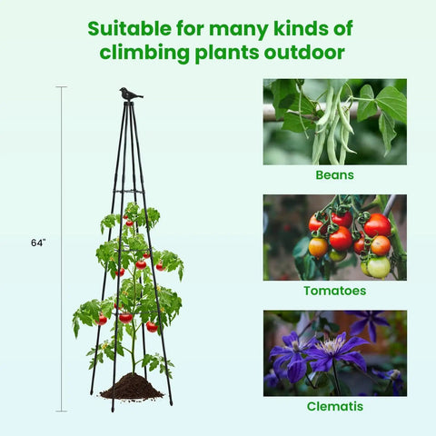 67 Inch Obelisk Garden Trellis For Cucumber And Climbing Plants Yard Ready Outdoor Plastic Coated Metal Support For Vines Tomatoes And Flowers Black Two Pack Set shown with plants and size reference