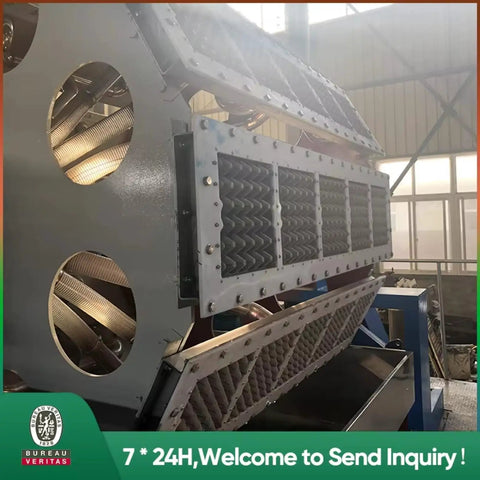 Commercial Paper Tray Machine With Automatic Pulp Molding Egg Carton Former for high-volume packaging