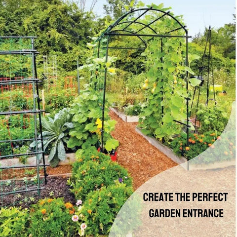 63 Inch Long 80 Inch Tall Garden Arch Arbor for Climbing Vines Heavy Duty Metal Trellis with Nylon Netting in garden setting