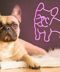 Pink LED Neon Dog Sign for Wall Decor So Cute French Bulldog Night Light USB Powered Glow next to a real French bulldog