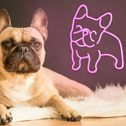 Pink LED Neon Dog Sign for Wall Decor So Cute French Bulldog Night Light USB Powered Glow next to a real French bulldog