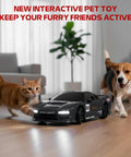 Cat and dog playing with 1 To 64 Scale Mini RC Drift Car With LED Lights, Micro 4WD Desktop Remote Control