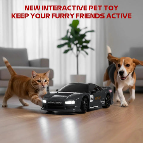 Cat and dog playing with 1 To 64 Scale Mini RC Drift Car With LED Lights, Micro 4WD Desktop Remote Control