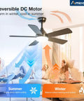 42 Inch Black Ceiling Fan With Light Kit Remote Control Reversible Blades 3CCT Dimmable Lights Quiet Noiseless Operation Indoor Outdoor Use Ideal For Bedroom Or Farmhouse Decor Sleek Cool Modern Design in living room with seasonal settings.