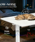 48 Inch Electric Standing Desk Height Adjustable Sit Stand Workstation With Silent Motor Memory Presets And Wide White Top with sleeping cat on it.