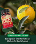 High Potency Vegan B12 Tablets With Folic Acid and B6 For Steady Energy And Brain Boost Fast Dissolving Tabs 90 count bottle with lemon.