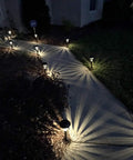 Sweet 6 Pack Silver Solar Path Lights With Glass Lens And Metal Ground Stakes, illuminating a walkway at night.