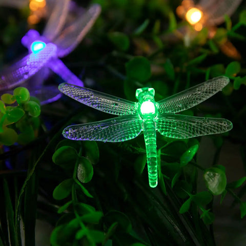 Outdoor Solar String Lights With 60 LED Globe Lights, 35.6 Feet, dragonfly design, glowing on greenery, Pure White, Solar Powered