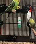 No Mess 4 Pack Automatic Bird Water Feeder And Food Dispenser Clip On Cage Hydration Kit For Parrots Parakeets Cockatiels Budgies Easy Clean Always Fresh Winged Friends with birds in cage.