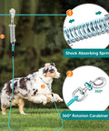Heavy Duty 200 Foot Dog Runner With 10 Foot Tie Out Cable For Large Dogs Up To 250 Lbs in use with dog and spring clip detail