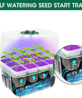 Five Pack Sixty Cell Seedling Trays With Grow Light Kit Indoor Seed Starting Starter Set for Veggies Herbs and Flowers with seedlings in tray
