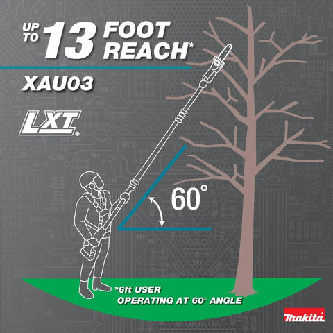 Diagram of the 18V LXT Brushless Cordless Extendable Pole Saw with user cutting high branches at 60-degree angle, 13 ft reach