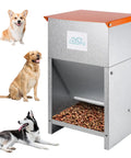 Heavy Duty Galvanized Dog Feeder Bowl Station For Indoor Outdoor Use With 25 Pound Gravity Fed Kibble Dispenser Built Like A Boss, featuring kibble hopper.