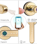 4 In 1 Keyless Entry Smart Lock with Fingerprint, passcode, mechanical keys, Bluetooth app, gold design with USB charging.