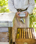 Beekeeping Bee Smoker Stainless Steel With Heat Shield 11 Inch Mounting Hook includes 54 plant-based smoker pellets near hive.