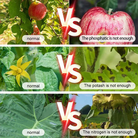 Comparison of plant health with and without 4 In 1 NPK Soil Tester Digital With LCD Readout And Temperature Measurement For Nitrogen Phosphorus Potassium In Soil High Accuracy Soil Analyzer For Garden Lawn Farm And Greenhouse Health Monitoring, showing effects of nutrient deficiencies.