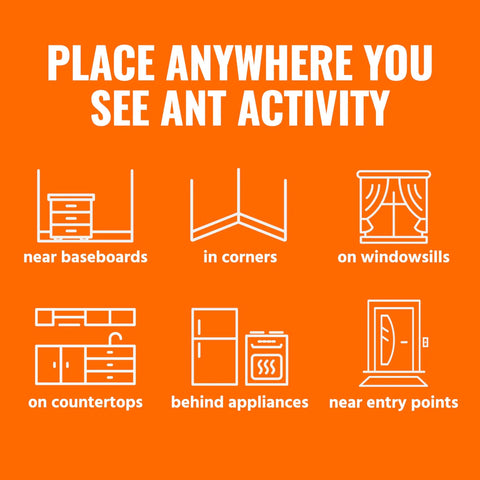 Diagram showing placement of Liquid Ant Bait Stations For Indoor Control 12 Count Bait System behind appliances and near entry points.