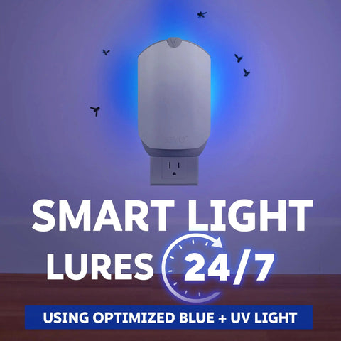 Plug In Flying Insect Trap For Fruit Flies And Gnats Using Blue And Uv Light With Zero Mess Adhesive Cartridge, mounted in a wall socket.