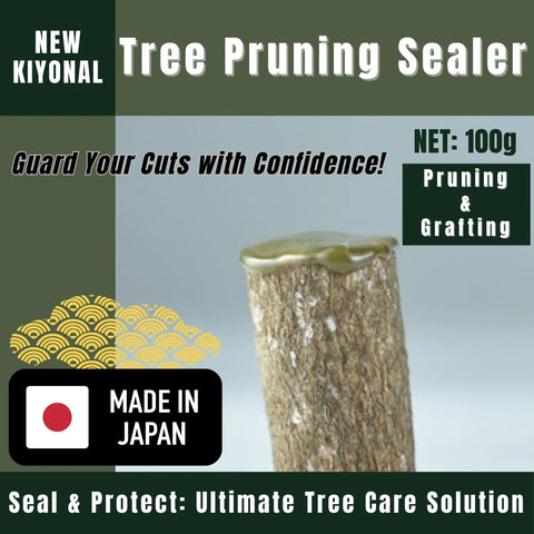 New Bonsai Pruning Sealer Paste 100g From Japan For Quick Dry Fast Healing After Pruning Or Grafting Easy To Use Pro Quality