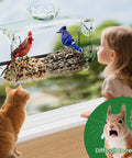 Clear Window Bird Feeder With Strong Suction Cups And Removable Seed Tray Acrylic Transparent Bird House for window watching