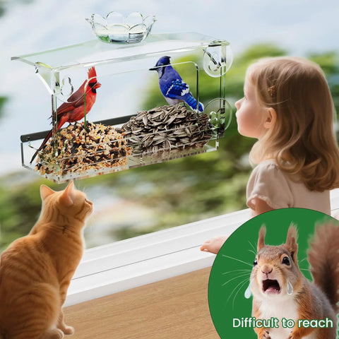 Clear Window Bird Feeder With Strong Suction Cups And Removable Seed Tray Acrylic Transparent Bird House for window watching