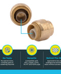 Half Inch Push Cap End Fitting For Plumbing, Quick Push To Connect Brass End Cap For PEX Copper CPVC PERT HDPE Pipes close-up