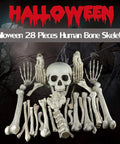 28 Piece Skeleton Bones And Skull Set For Halloween Decor Spooky Graveyard Ground Props with skull centerpiece on dark background