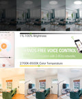 Smart LED Flush Mount Ceiling Light Fixture with RGB Backlit Ambient Lighting and Tunable White 3000K to 6500K, 24W, 12 Inch in living room with app controls and voice control with Alexa and Google Home, compatible with Smart Life and Tuya.