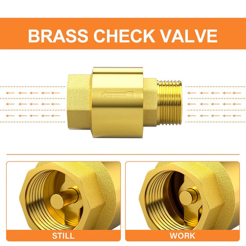 Brass check valve DN20, 3/4 in BSP threaded, side view of a one-way backflow preventer.