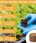 200 Pcs 30mm Organic Coconut Coir Seed Starter Pellets for Easy Seed Starting Soil Mix in hand displaying seedling growth.