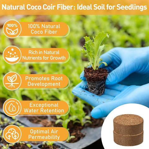 200 Pcs 30mm Organic Coconut Coir Seed Starter Pellets for Easy Seed Starting Soil Mix in hand displaying seedling growth.