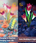 Solar Lily Garden Lights 6 Pack With 24 LED Outdoor Stake Lights in garden, showing day charging and night glow.