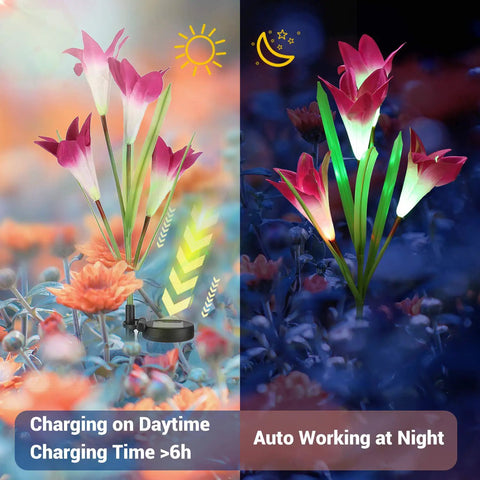 Solar Lily Garden Lights 6 Pack With 24 LED Outdoor Stake Lights in garden, showing day charging and night glow.