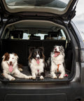 Three dogs lying in the trunk of an SUV with the hatch open in a rural setting.