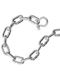 Stainless steel chain with attached clevis shackle from the 14 Pcs Clevis Shackle Set Five Sixteenth Inch Screw Pin Bow D Ring Shackles