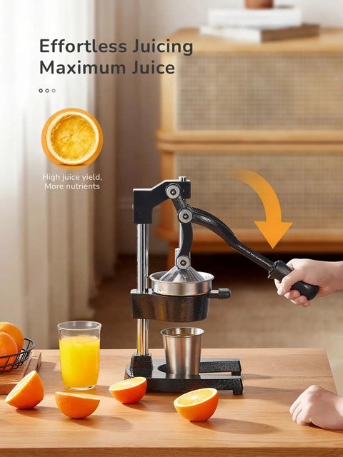 Heavy Duty Cast Iron Manual Citrus Juicer Press, Giant Orange Squeezer Handles Lemons Limes Grapefruit Effortless Leverage, Large Basin With Strainer For Fresh Kitchen Juice Extractor No Waste Design, juicing fresh oranges.