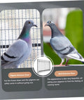 Steel Pigeon Cage Door With Secure Lock For Bird Loft Entry Gate and pigeons beside metal entrance door