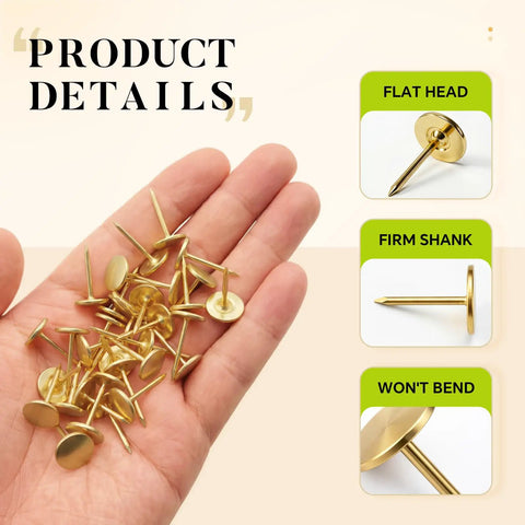 Reliable Heavy Duty Gold Thumb Tacks Boss Level Needlepoint Push Pins held in hand, showcasing flat heads and sharp points.