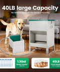 No Sweat Elevated Dog Feeding Station With Heavy Duty Metal Gravity Bowl And Six Liter Automatic Water Dispenser For Active Doggos Up To Fifty Pounds Always and a Labrador