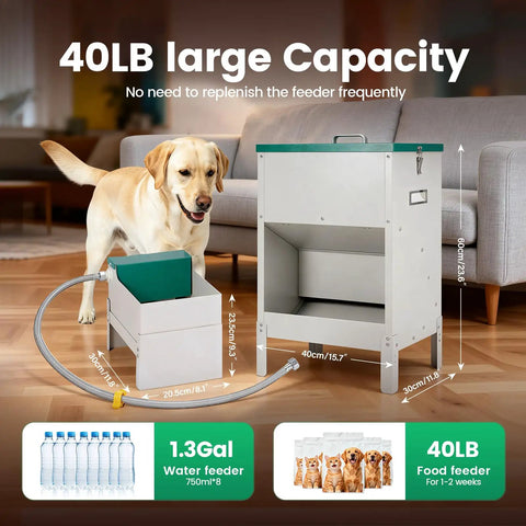 No Sweat Elevated Dog Feeding Station With Heavy Duty Metal Gravity Bowl And Six Liter Automatic Water Dispenser For Active Doggos Up To Fifty Pounds Always and a Labrador