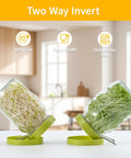 Two Pack Seed Sprouter Kit For Wide Mouth Jars With 316 Stainless Mesh BPA Free Drip Tray And Tilted Lid For Bean Sprouts Broccoli Alfalfa And Microgreens For Home Grow shown with sprouts
