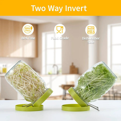 Two Pack Seed Sprouter Kit For Wide Mouth Jars With 316 Stainless Mesh BPA Free Drip Tray And Tilted Lid For Bean Sprouts Broccoli Alfalfa And Microgreens For Home Grow shown with sprouts