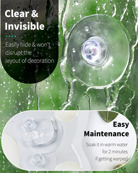 Small Rubber Suction Cups For Glass 30 Pack Assorted Sizes 0.8 1.2 1.8 Inch shown on glass with maintenance tips