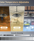 Outdoor Ceiling Fan With Light 23 Inch Hanging Fan For Patio And Gazebos 360 Degree Rotatable with 3 Color Temperature Options